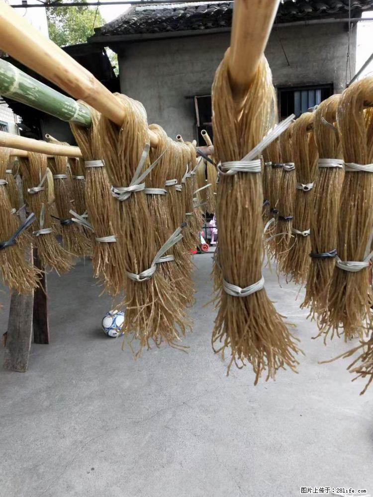 【灌阳正宗红薯粉】美女家里自己做的，干净卫生，假一赔十，价格合理，抢购电话：13737312895 - 美食天地 - 苏州生活社区 - 苏州28生活网 su.28life.net