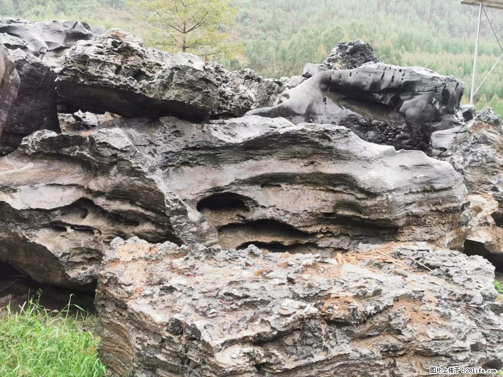 风景石、假山石大量有货，有需要的欢迎联系 - 新手上路 - 苏州生活社区 - 苏州28生活网 su.28life.net