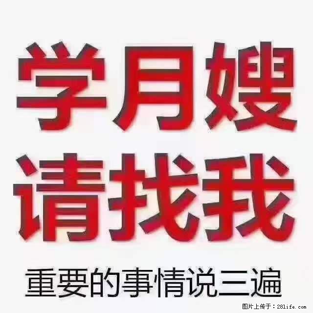 为什么要学习月嫂，育婴师？ - 其他广告 - 广告专区 - 苏州分类信息 - 苏州28生活网 su.28life.net