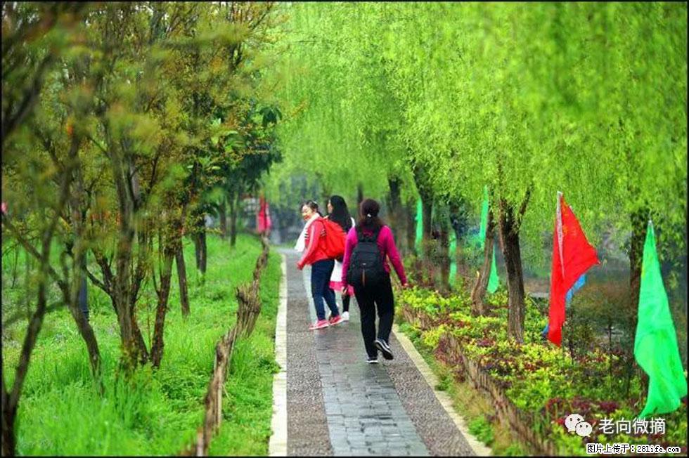 【春天,广西桂林灌阳县向您发出邀请!】江口老街又逢春 - 游山玩水 - 苏州生活社区 - 苏州28生活网 su.28life.net