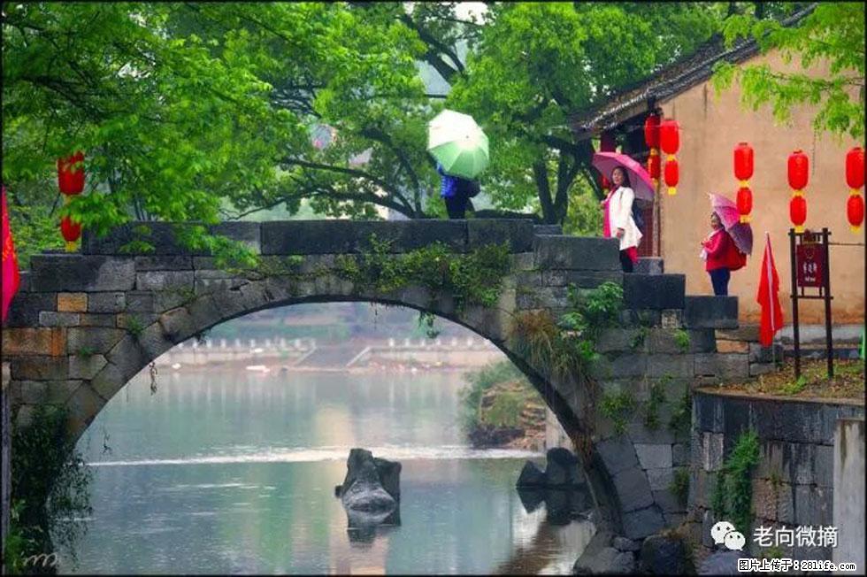 【春天,广西桂林灌阳县向您发出邀请!】江口老街又逢春 - 游山玩水 - 苏州生活社区 - 苏州28生活网 su.28life.net