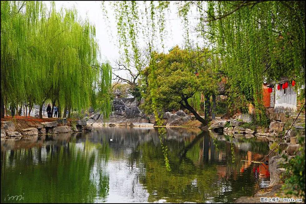 【春天,广西桂林灌阳县向您发出邀请!】江口老街又逢春 - 游山玩水 - 苏州生活社区 - 苏州28生活网 su.28life.net