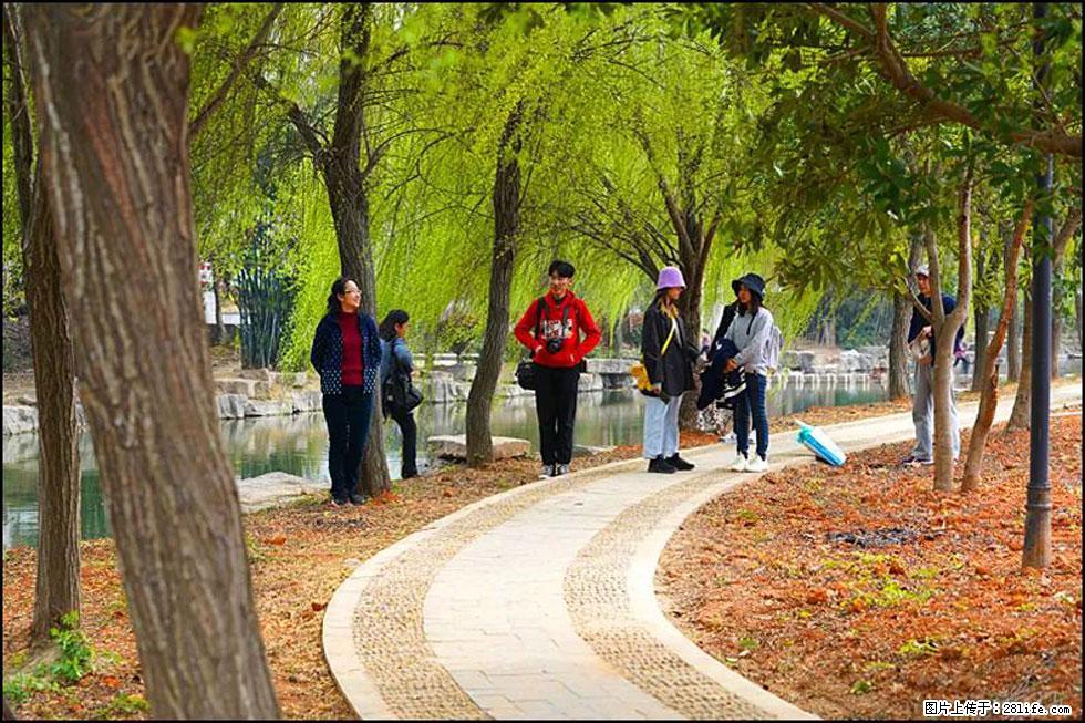 【春天,广西桂林灌阳县向您发出邀请!】江口老街又逢春 - 游山玩水 - 苏州生活社区 - 苏州28生活网 su.28life.net
