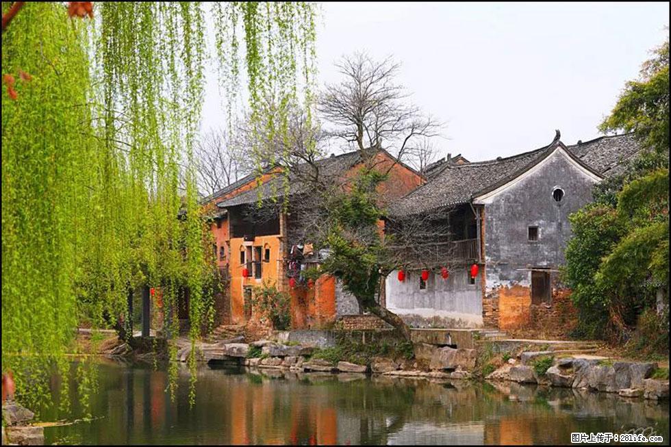 【春天,广西桂林灌阳县向您发出邀请!】江口老街又逢春 - 游山玩水 - 苏州生活社区 - 苏州28生活网 su.28life.net