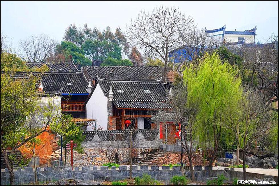 【春天,广西桂林灌阳县向您发出邀请!】江口老街又逢春 - 游山玩水 - 苏州生活社区 - 苏州28生活网 su.28life.net