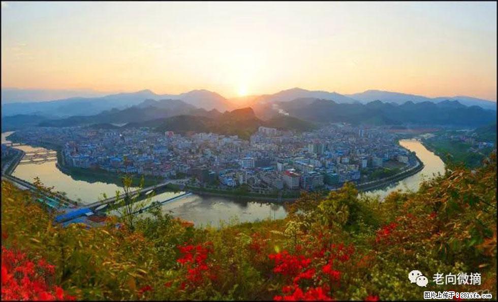 【春天，广西桂林灌阳县向您发出邀请！】登麒麟山，相约映山红 - 游山玩水 - 苏州生活社区 - 苏州28生活网 su.28life.net