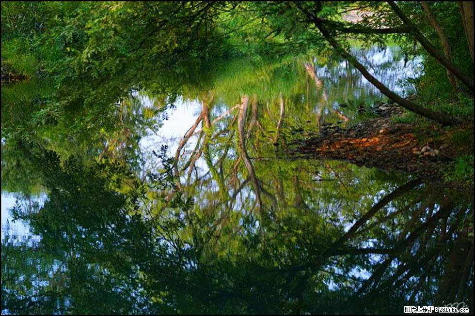 【春天，广西桂林灌阳县向您发出邀请！】熊家寨湿地公园 - 游山玩水 - 苏州生活社区 - 苏州28生活网 su.28life.net