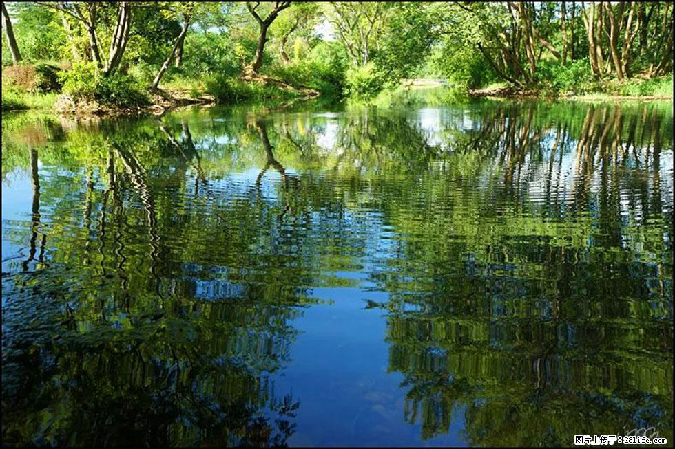 【春天，广西桂林灌阳县向您发出邀请！】熊家寨湿地公园 - 游山玩水 - 苏州生活社区 - 苏州28生活网 su.28life.net