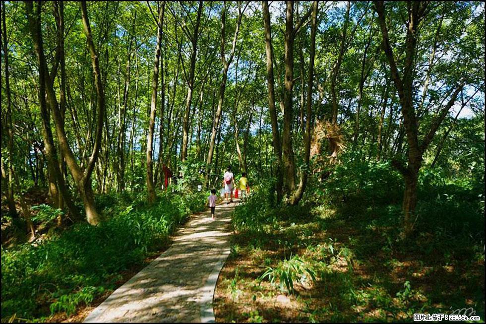 【春天，广西桂林灌阳县向您发出邀请！】熊家寨湿地公园 - 游山玩水 - 苏州生活社区 - 苏州28生活网 su.28life.net
