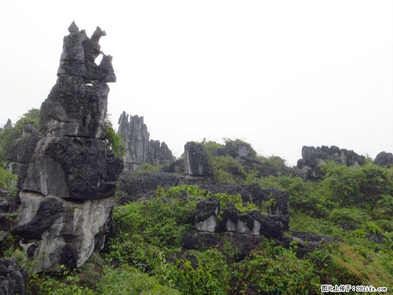 桂林旅游名城景点：灌阳文市石林 - 游山玩水 - 苏州生活社区 - 苏州28生活网 su.28life.net