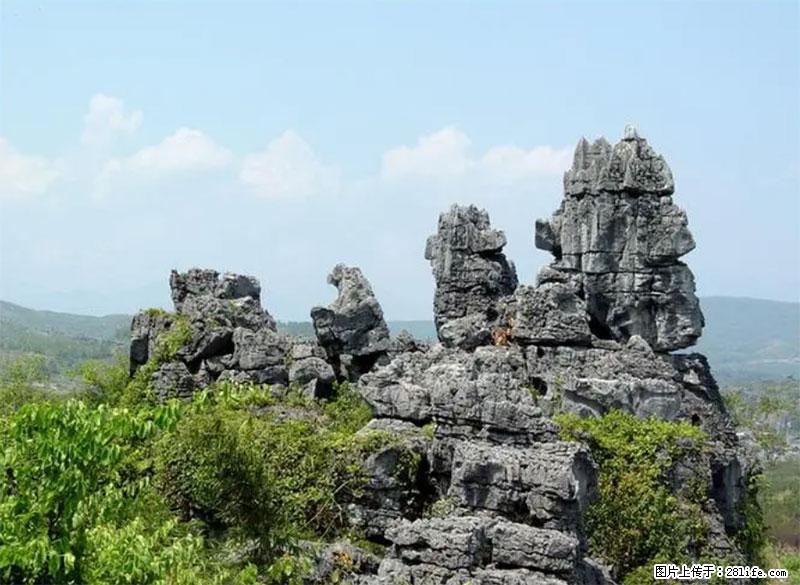 桂林旅游名城景点：灌阳文市石林 - 游山玩水 - 苏州生活社区 - 苏州28生活网 su.28life.net