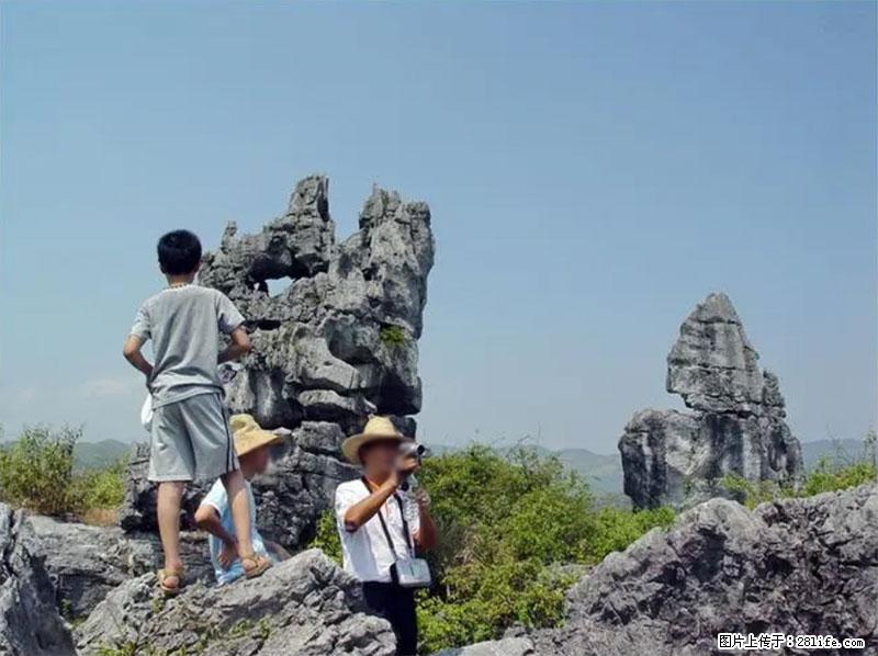 桂林旅游名城景点：灌阳文市石林 - 游山玩水 - 苏州生活社区 - 苏州28生活网 su.28life.net
