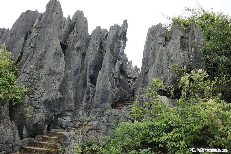 桂林旅游名城景点：灌阳文市石林 - 游山玩水 - 苏州生活社区 - 苏州28生活网 su.28life.net