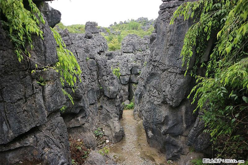 桂林旅游名城景点：灌阳文市石林 - 游山玩水 - 苏州生活社区 - 苏州28生活网 su.28life.net