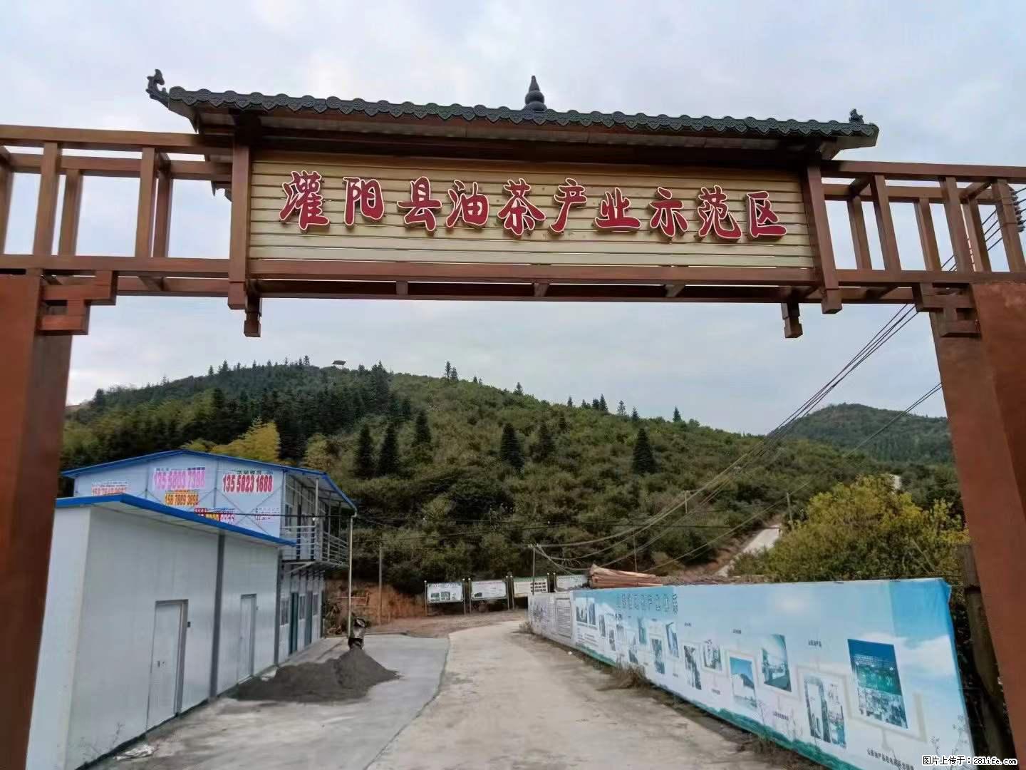 【灌阳县油茶产业示范区】一个有着充实的精神生活的人，对待身外之物自会有一种淡泊的态度 - 土特产 - 饮食特产 - 苏州分类信息 - 苏州28生活网 su.28life.net