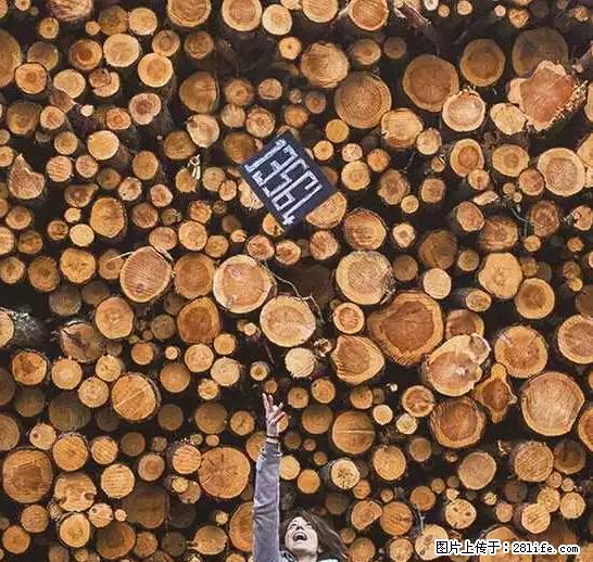 辞掉工作周游世界？现在他们在洗厕所…… - 游山玩水 - 苏州生活社区 - 苏州28生活网 su.28life.net