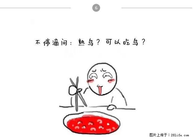千万不要和这9种哈卵一起吃火锅！ - 美食天地 - 苏州生活社区 - 苏州28生活网 su.28life.net