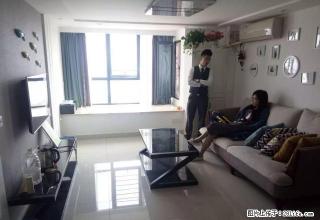 青剑湖 金沙广场 星湖都市生活广场 装修豪华 随时看房 - 苏州28生活网 su.28life.net