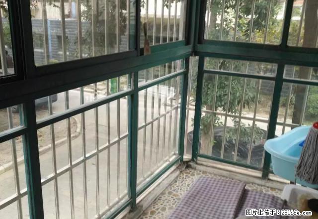 城北北门路希望之城精装修三居室 一楼一楼采光无遮挡 - 房屋出租 - 房屋租售 - 苏州分类信息 - 苏州28生活网 su.28life.net