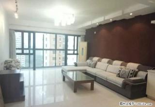 (单间出租)南山巴黎 单间出租 精装修 无隔断包宽带 近久光 邻瑞 圆融 - 苏州28生活网 su.28life.net