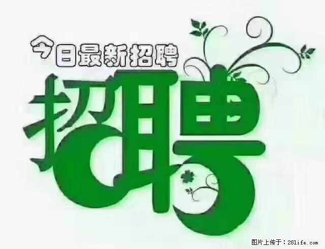 【招聘摄像师】待遇：试用期6000元/月，转正7000元/月+五险一金+餐补+节日福利+奖金 - 其他招聘信息 - 招聘求职 - 苏州分类信息 - 苏州28生活网 su.28life.net