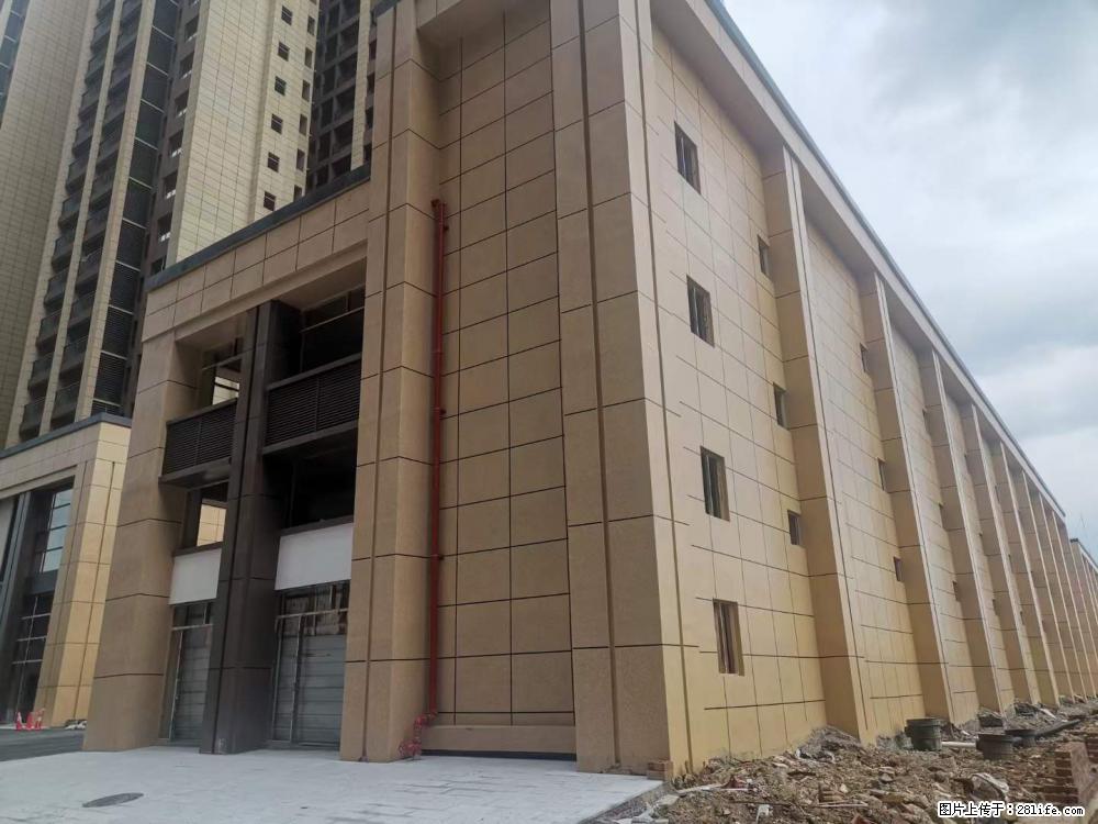 【广西三象建筑安装工程有限公司】外墙涂料工程 - 新手上路 - 苏州生活社区 - 苏州28生活网 su.28life.net