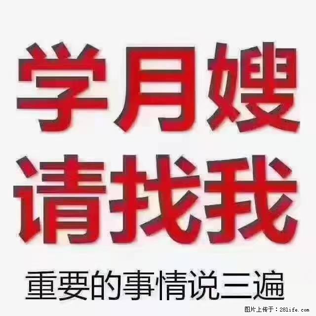 【招聘】月嫂，上海徐汇区 - 职场交流 - 苏州生活社区 - 苏州28生活网 su.28life.net