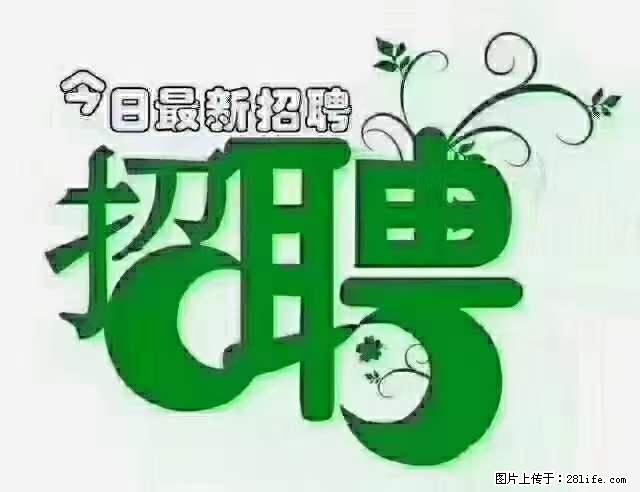 上海青浦区招仓管 - 职场交流 - 苏州生活社区 - 苏州28生活网 su.28life.net