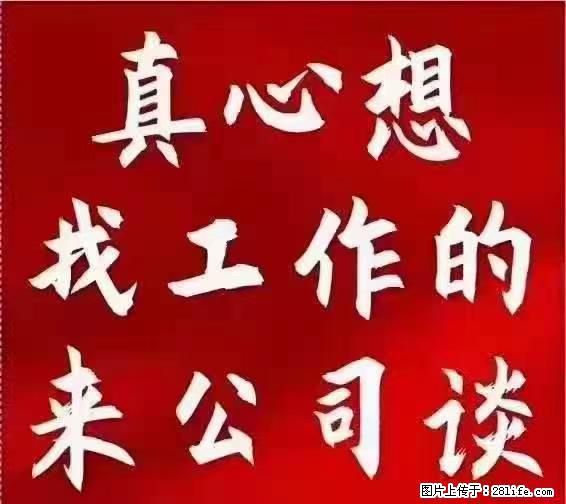 【上海】国企,医院招两名男保安,55岁以下,身高1.7米以上,无犯罪记录不良嗜好 - 职场交流 - 苏州生活社区 - 苏州28生活网 su.28life.net