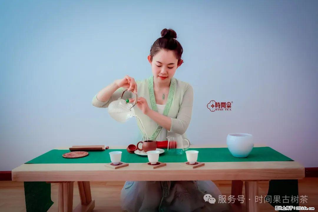 时间果百年古树龙珠普洱生茶 - 购物交流 - 苏州生活社区 - 苏州28生活网 su.28life.net