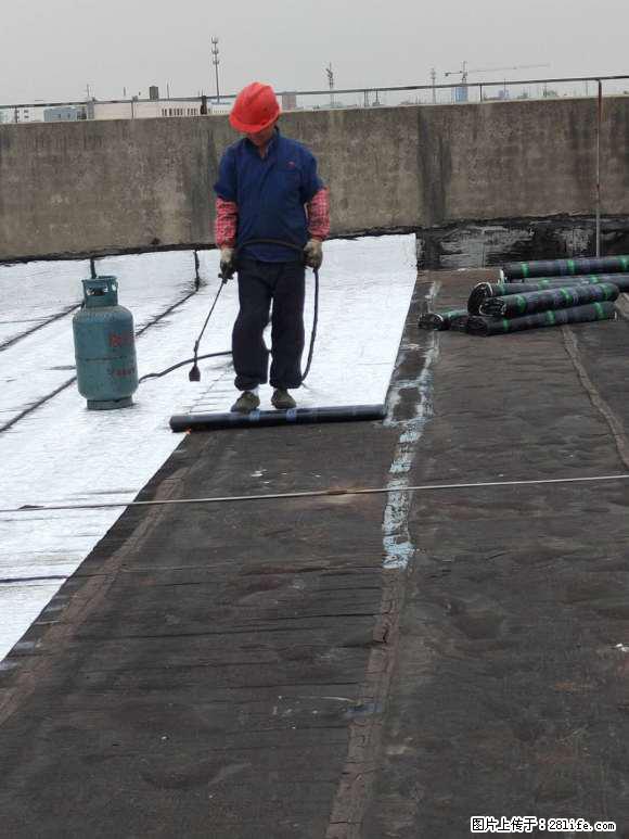 常熟市防水补漏外墙防水补漏厂房楼面屋顶防水补漏 - 其他广告 - 广告专区 - 苏州分类信息 - 苏州28生活网 su.28life.net