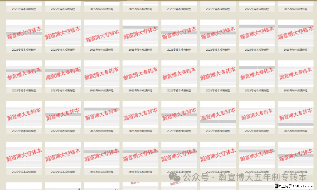 2025年江苏瀚宣博大五年制专转本：高分捷报！ - 综合信息 - 其他综合 - 苏州分类信息 - 苏州28生活网 su.28life.net