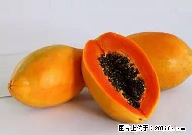 晕车、脚气、牙齿变黄、皮肤粗糙？学会这些三分钟搞定！ - 苏州生活资讯 - 苏州28生活网 su.28life.net