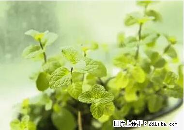 晕车、脚气、牙齿变黄、皮肤粗糙？学会这些三分钟搞定！ - 苏州生活资讯 - 苏州28生活网 su.28life.net