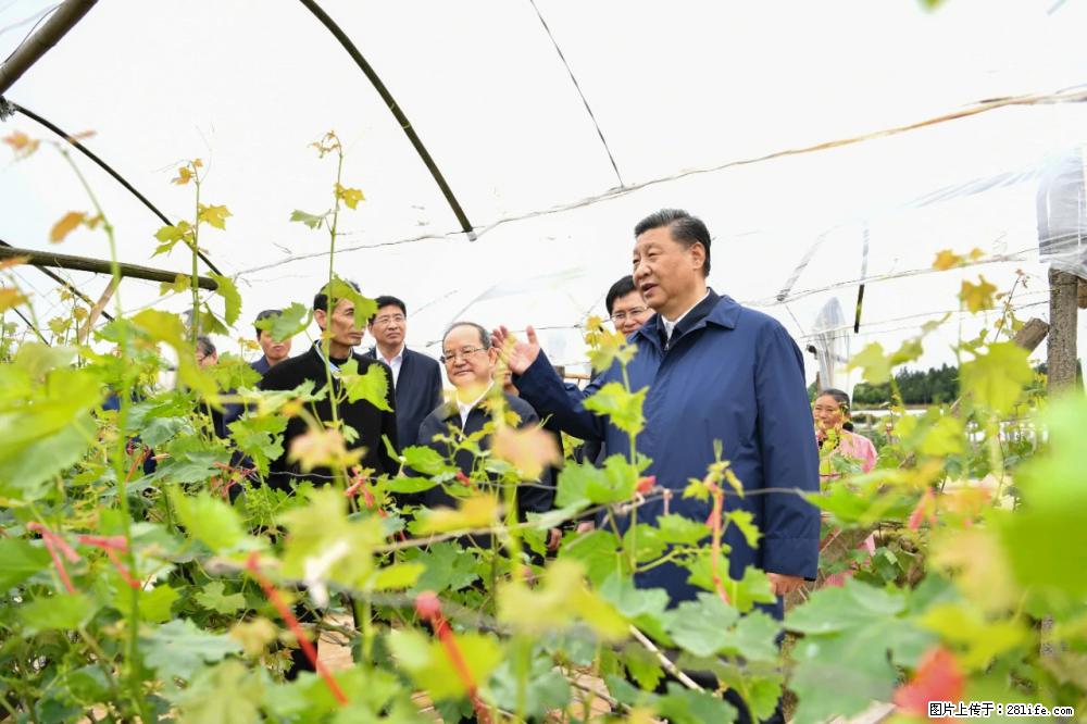 习近平赴广西考察调研 - 苏州生活资讯 - 苏州28生活网 su.28life.net