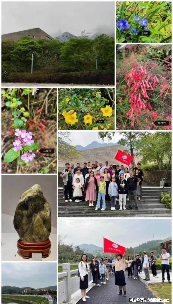 “粤灌文化 美好生活”油茶文化主题活动在广东深圳成功举办 - 苏州生活资讯 - 苏州28生活网 su.28life.net