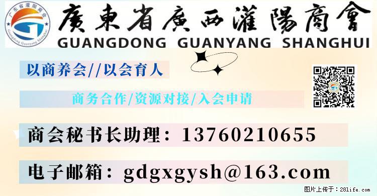 “粤灌文化 美好生活”油茶文化主题活动在广东深圳成功举办 - 苏州生活资讯 - 苏州28生活网 su.28life.net