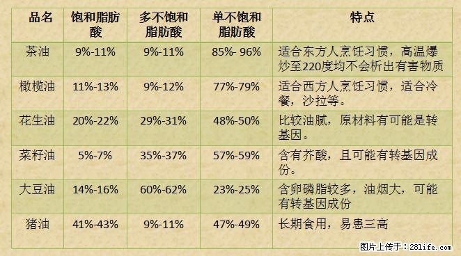 揭秘茶油的5大核心营养成分!被称为人体健康的“守护盾”! - 苏州生活资讯 - 苏州28生活网 su.28life.net