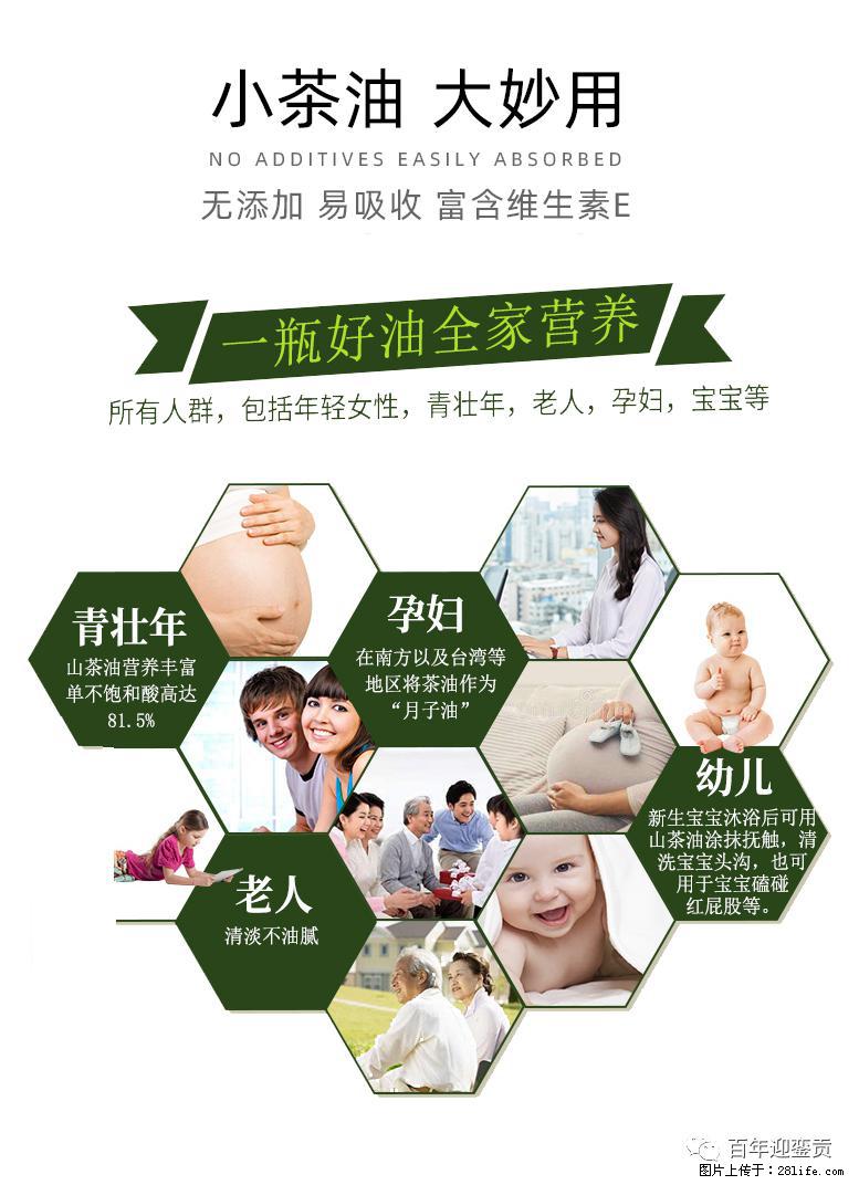 世界没有真相，只有认知，最好的食用油是中国的山茶油！ - 苏州生活资讯 - 苏州28生活网 su.28life.net