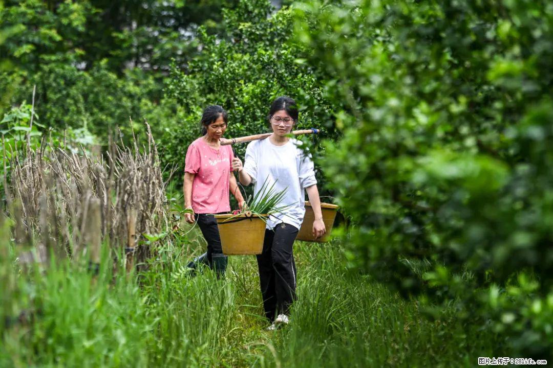 全网追的“扁担女孩”，找了一份暑假工，时薪12元 - 苏州生活资讯 - 苏州28生活网 su.28life.net