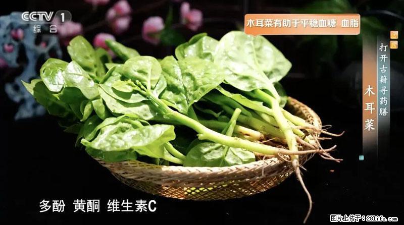 比牛奶补钙还厉害！凉血解毒、稳血糖...这菜冬天必吃，很多人却当草 - 苏州生活资讯 - 苏州28生活网 su.28life.net