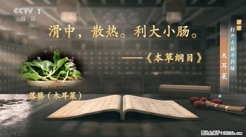 比牛奶补钙还厉害！凉血解毒、稳血糖...这菜冬天必吃，很多人却当草 - 苏州生活资讯 - 苏州28生活网 su.28life.net