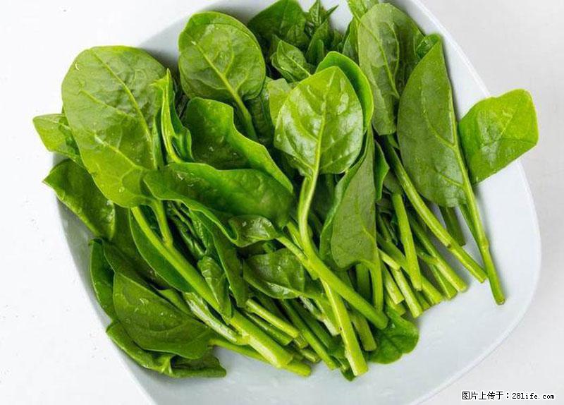 这些蔬菜是“天然钙片”，这6种被医生重点推荐 - 苏州生活资讯 - 苏州28生活网 su.28life.net