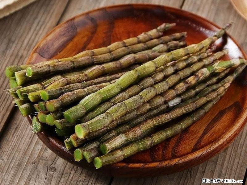 铁皮石斛的作用与功能主治 - 苏州生活资讯 - 苏州28生活网 su.28life.net