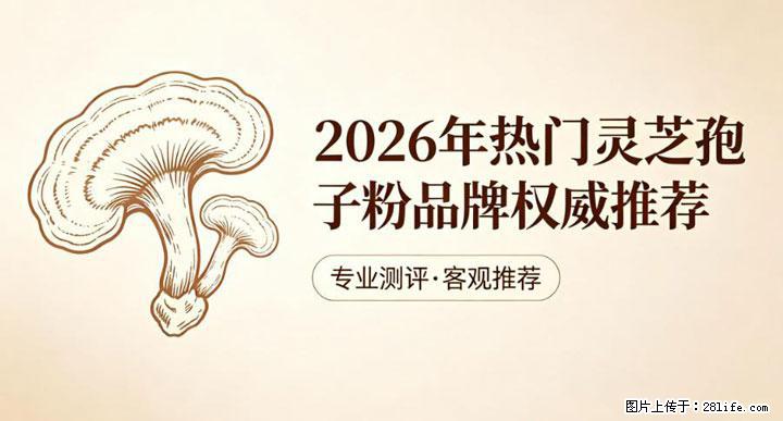 灵芝孢子粉含量越高越有效？2026 年七款热门品牌深度实测，肠胃敏感者避坑指南 - 苏州生活资讯 - 苏州28生活网 su.28life.net